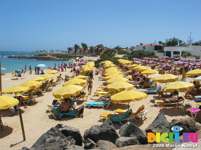 27657 Yellow parasols on beach